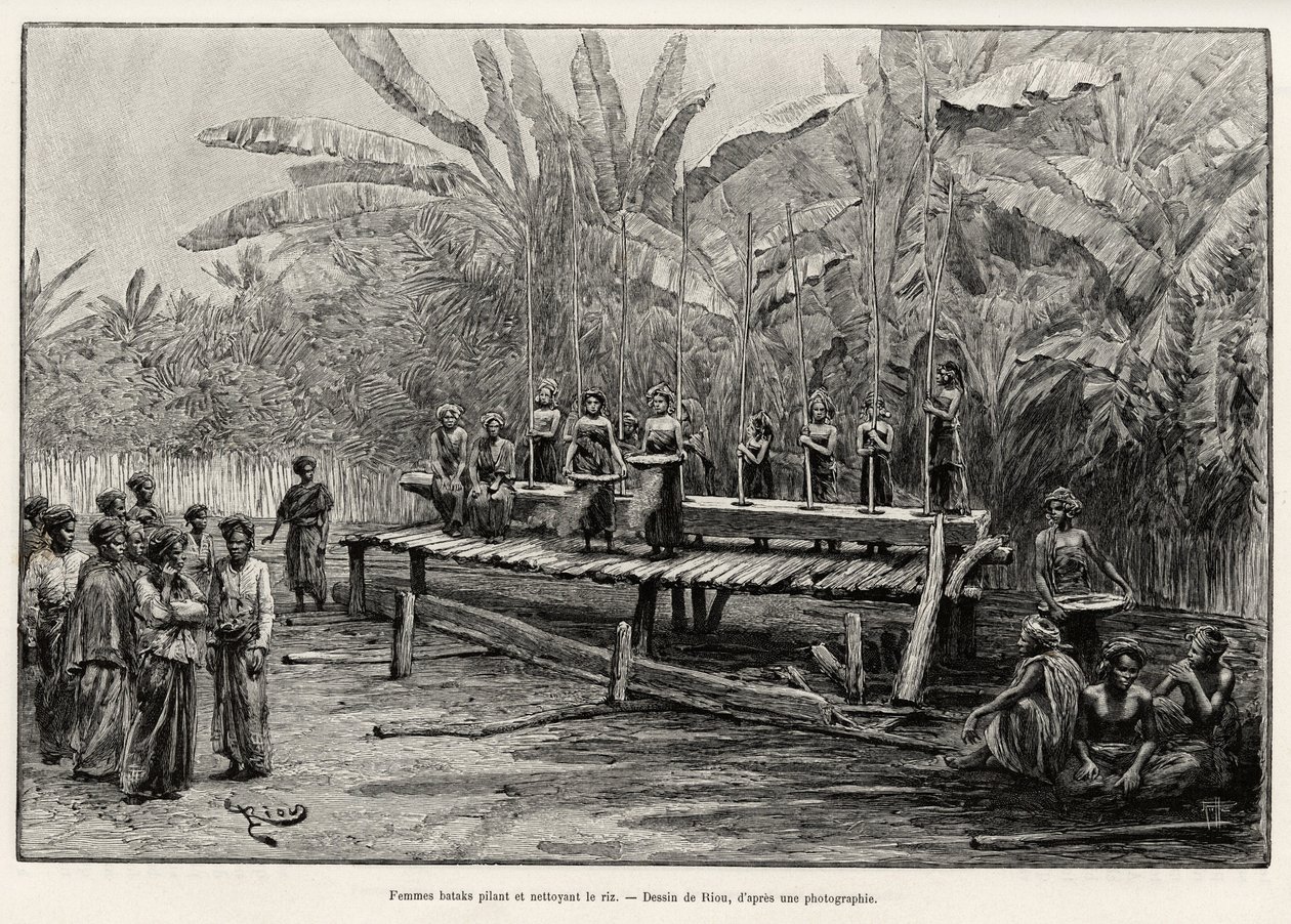 Mulheres Batak, grupo étnico do norte de Sumatra, a bater e a limpar arroz. Gravura de Riou para ilustrar a história "um ano na Malásia", de Jules Claine (1856-1939) de Edouard Riou