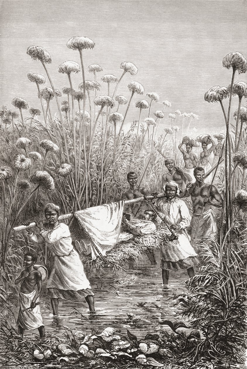 Dr. David Livingstone sendo carregado nos últimos quilômetros até a vila de Tchitammbo, na África, pouco antes de sua morte, ilustração de "O mundo nas mãos", gravada por Henri Theophile Hildibrand de Edouard Riou