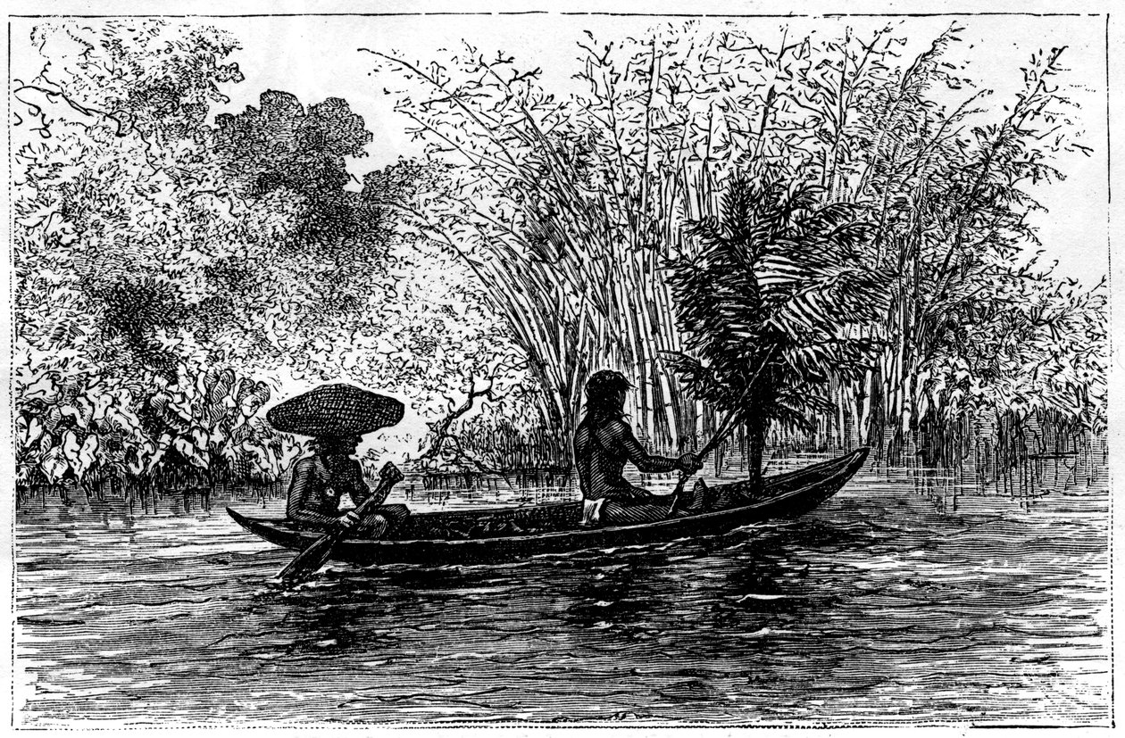 Abrigo no rio Essequibo, Guiana, século XIX de Edouard Riou