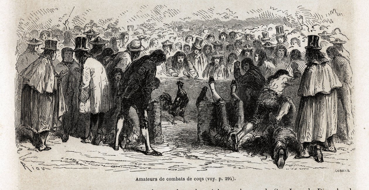 Lutadores, reúnem-se todos os domingos ao redor do cancha de gallos (circo de 30 pés de circunferência) para testemunhar a luta até a morte de animais, em Cuzco, desenhada por Riou, para ilustrar a viagem pela América do Sul, de 1848 a 1860 por Paul Marcoy de Edouard Riou