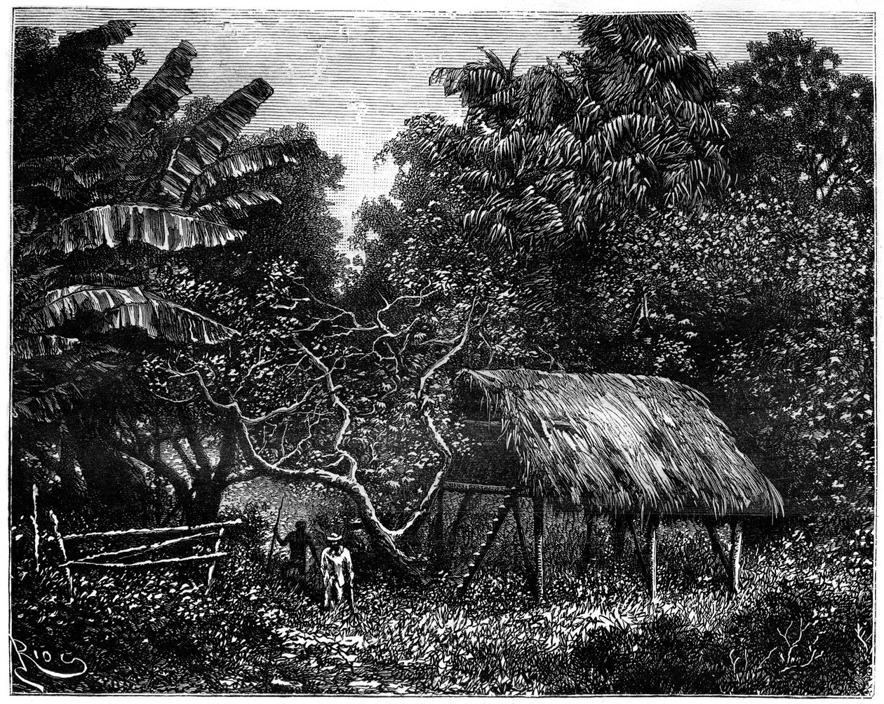 Guiana, América do Sul, século XIX de Edouard Riou