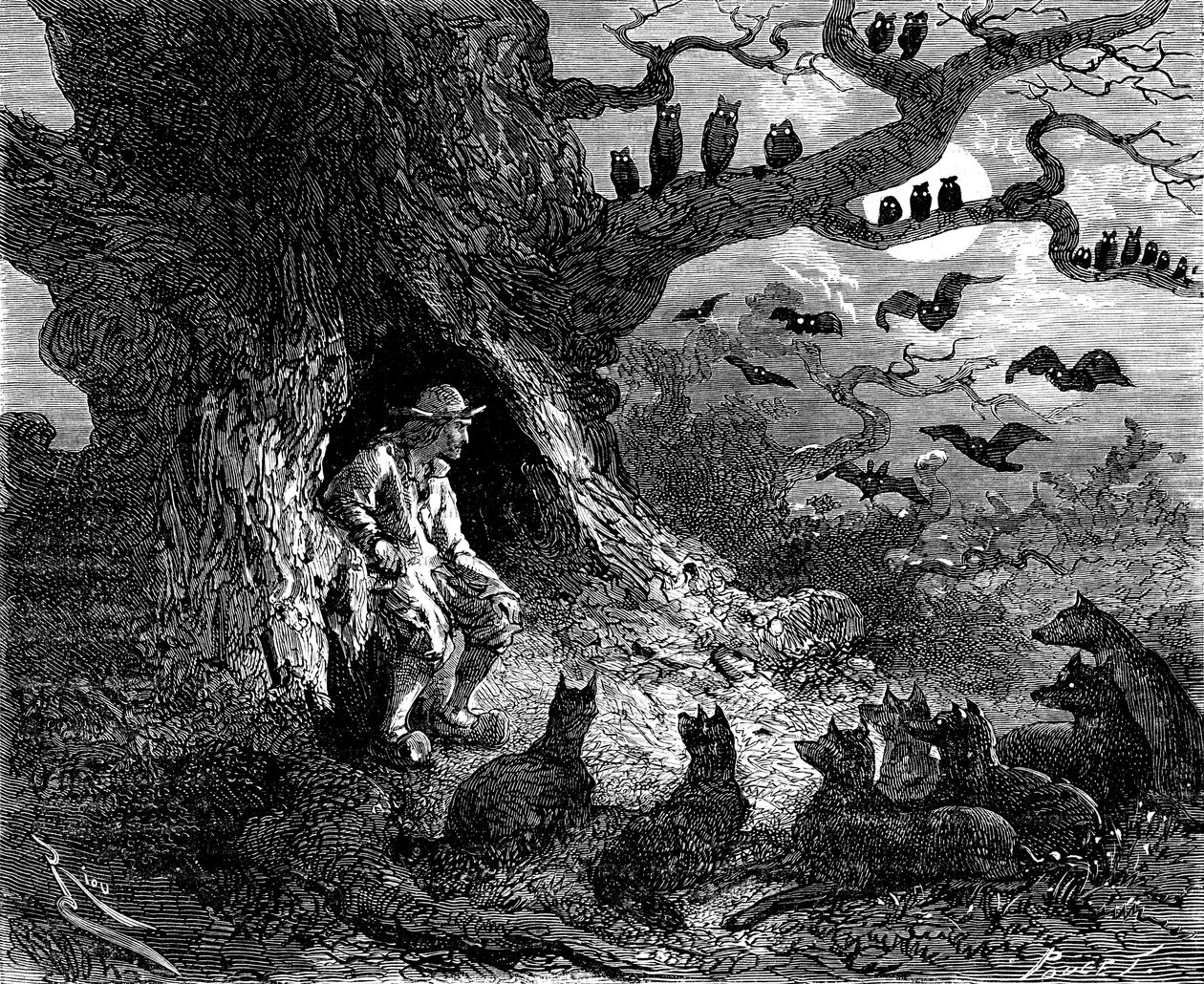 Ilustração para o romance “Le leader de loups” de Alexandre Dumas: Thibault parecia ser o centro de um círculo infernal, século XIX de Edouard Riou