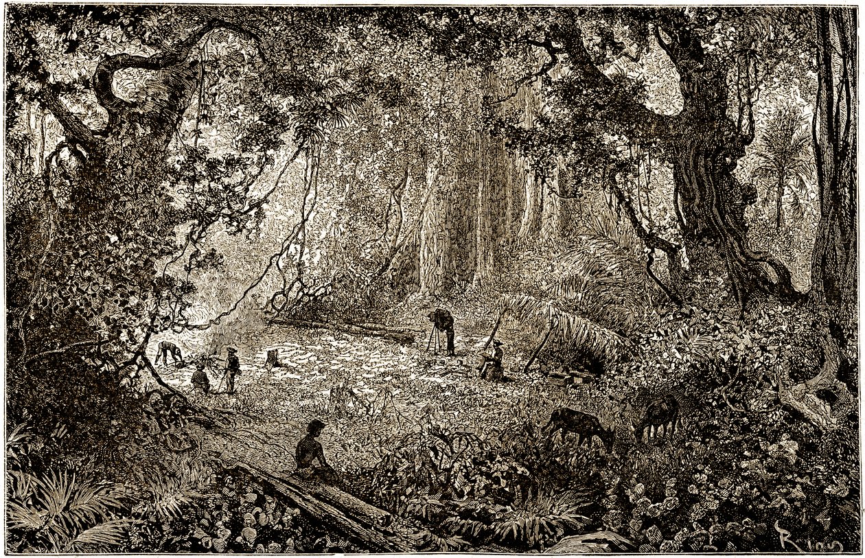 Instalação de um acampamento de exploradores na Guatemala (1882) de Edouard Riou