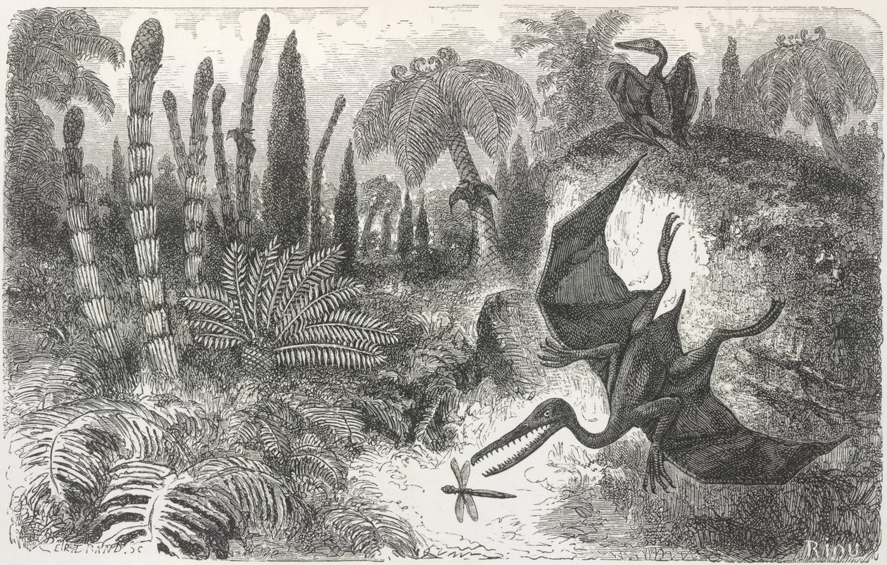 "Paisagem do período liásico". Ilustração representando um pterodáctilo de Edouard Riou