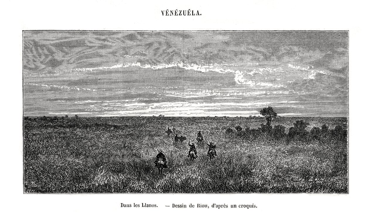 Los Llanos, Venezuela, século XIX de Edouard Riou