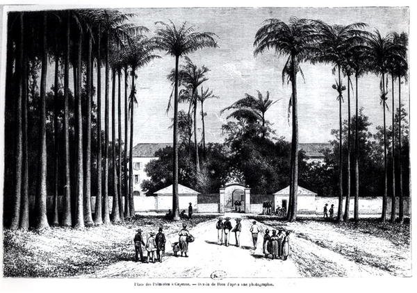 Place des Palmistes, Caiena, Guiana de Edouard Riou