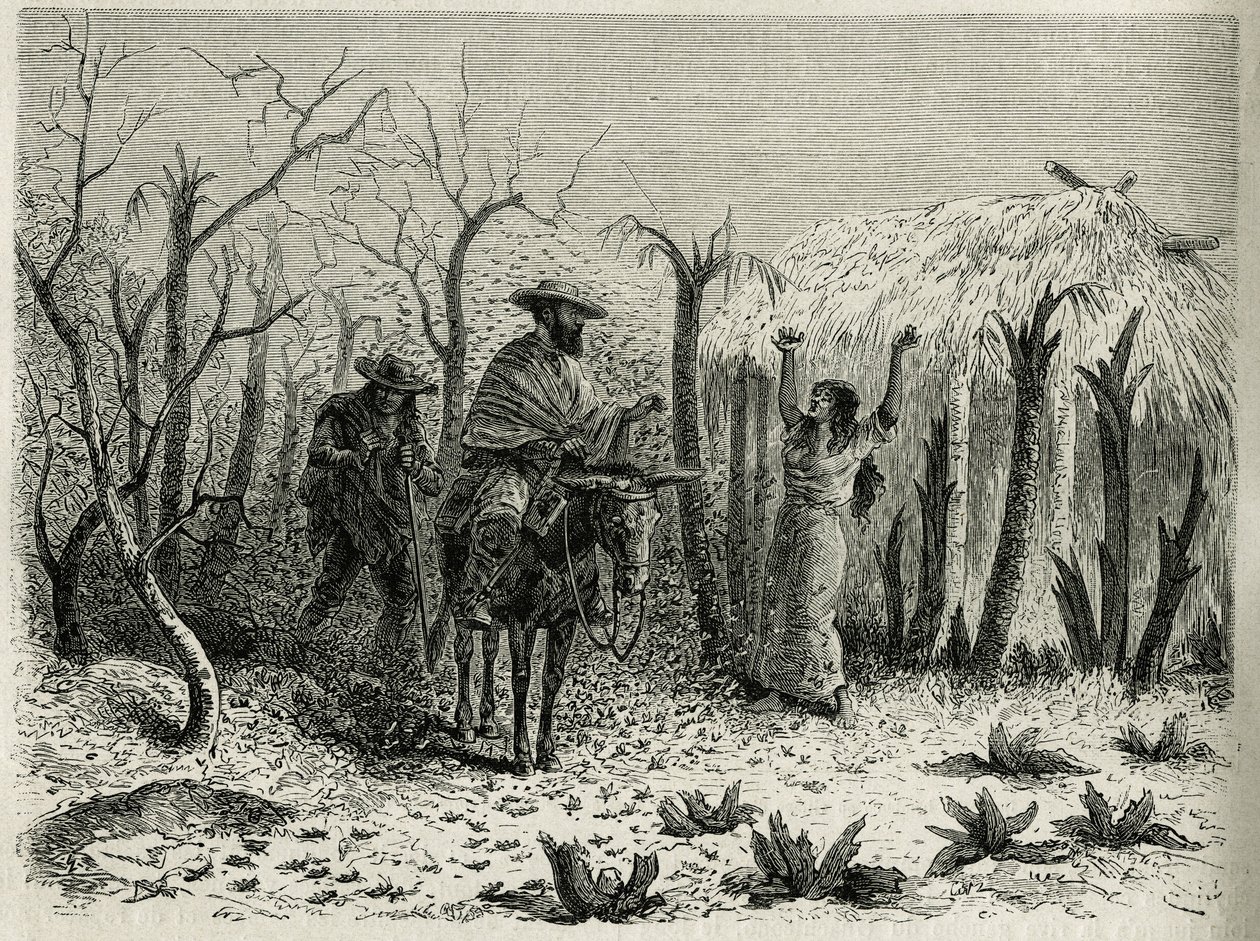 The Clouds of Grasshoppers of the Vallee du Upper Patia, com na mula o narrador da viagem, gravado por Riou, para ilustrar a história L