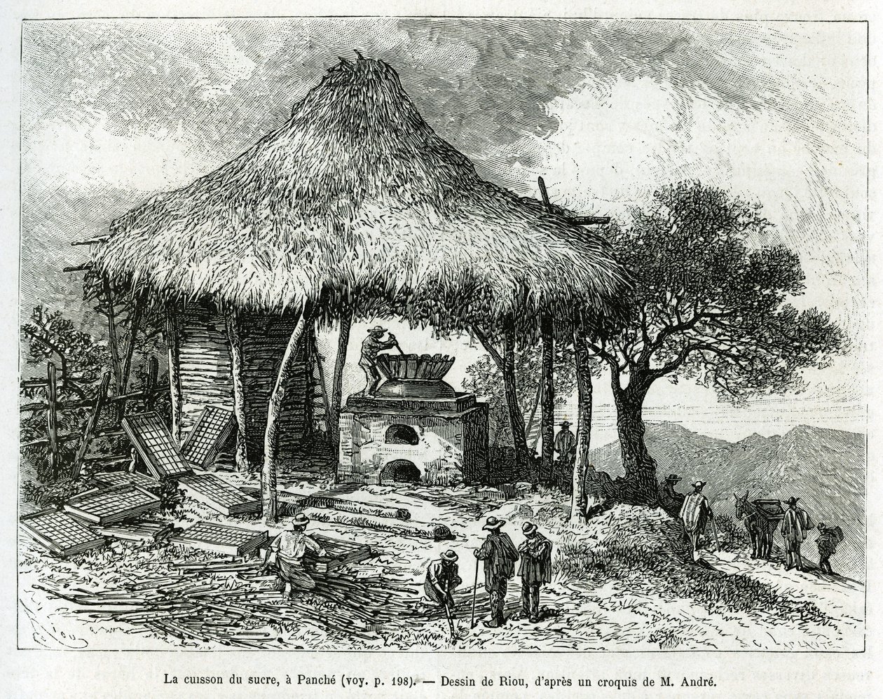 O Forno de Açúcar, em Panche (Colômbia), desenho de Riou, para ilustrar a história da América Equinoxiale (Colômbia, Equador, Peru), em 1875-1876, de Ed. andre, encarregado de missão de viajantes pelo governo francês. Gravura em Le tour du monde de Edouard Riou