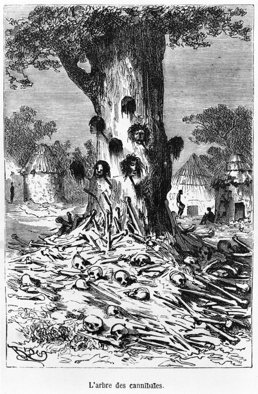 A Árvore dos Canibais, ilustração de &39;Cinco Semanas em um Balão&39; de Jules Verne (1828-1905) Paris, Hetzel de Edouard Riou