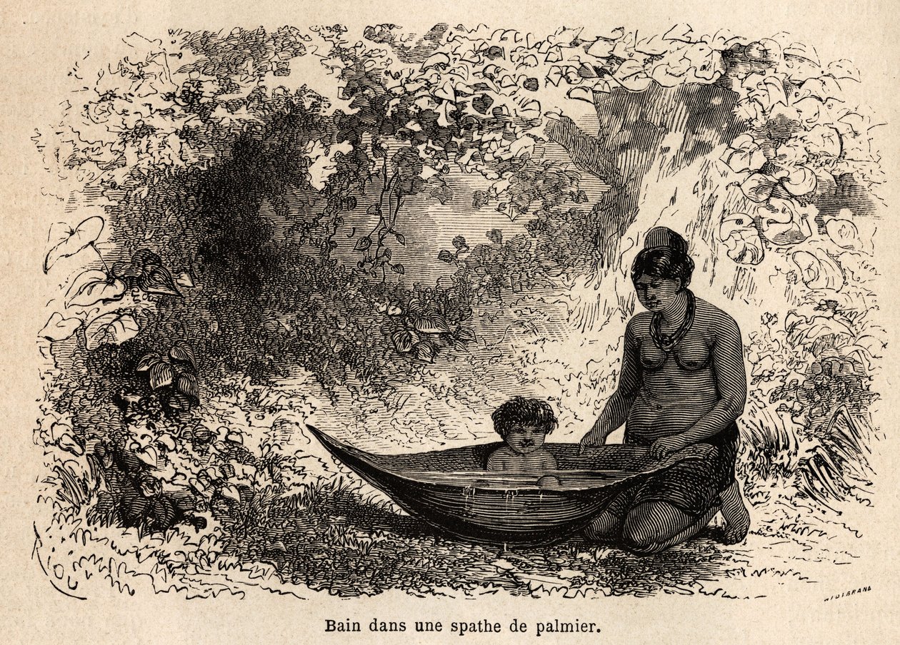 O banho da criança em uma folha de palmeira. Desenho de Riou, para ilustrar a viagem do Oceano Pacífico para o Oceano Atlântico de Edouard Riou