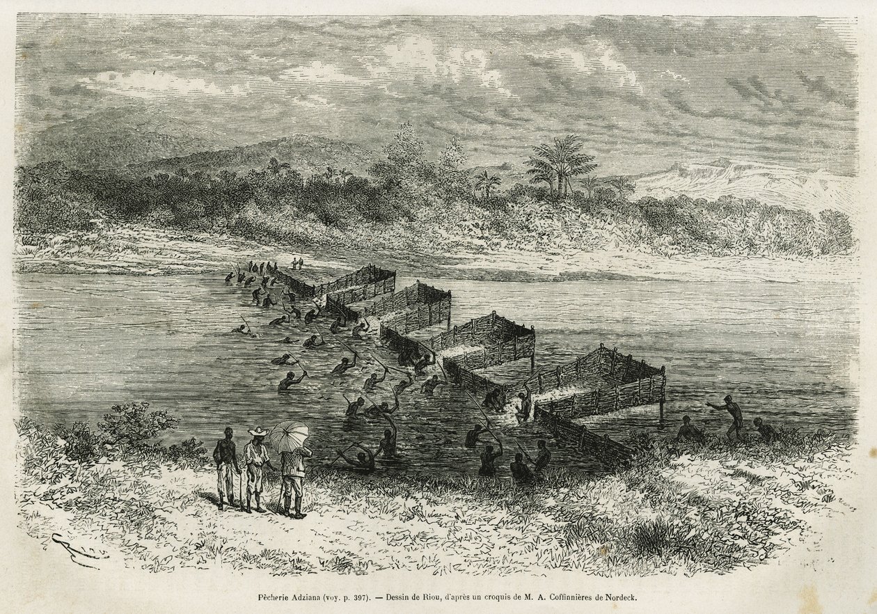A indústria da pesca no rio Eboga, que aprisiona os peixes, conduz através das corredeiras pelas suas argilas de bambu, desenhadas por Riou, para ilustrar a história de uma viagem ao Gabão e ao rio Ogoue, em 1875-1877, por Alfred Marche. Gravura em Le tour de Edouard Riou