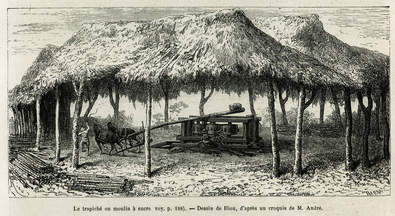 O trapiche, ou moinho de açúcar para moer as canas em Panche (Colômbia), desenho de Riou, para ilustrar a história da América Equinoxiale (Colômbia, Equador, Peru), em 1875-1876, de Ed. andre, encarregado de missão de viajantes pelo governo francês. Gravur de Edouard Riou