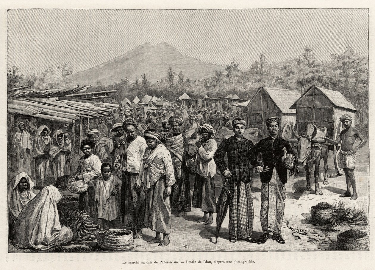 O passeio no Pager Alam Cafe (Malásia). Gravura de Riou para ilustrar a história "um ano na Malásia", de Jules Claine (1856-1939) de Edouard Riou
