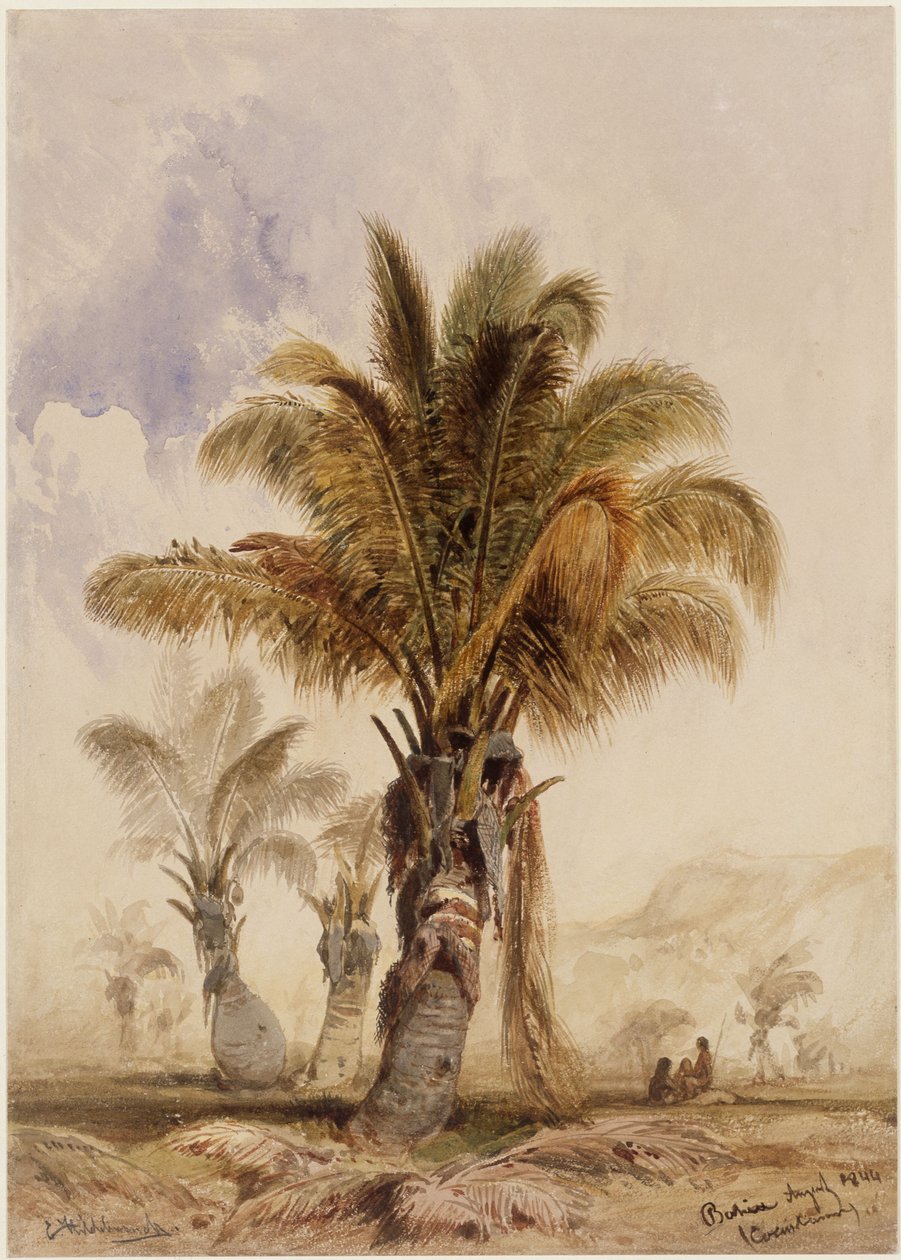 Coqueiros na Baía de Eduard Hildebrandt