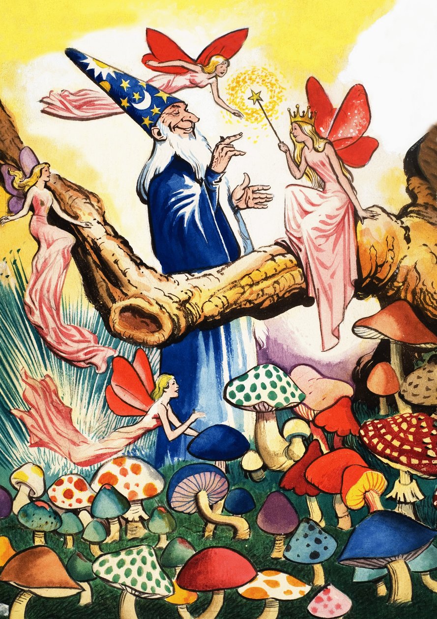 Feiticeiro na floresta de cogumelos de Eduardo Teixeira Coelho