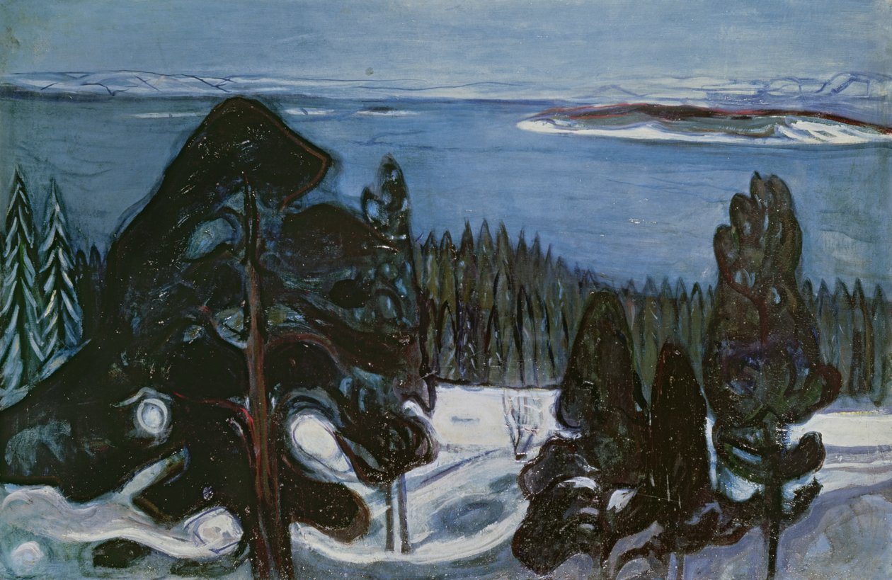 Noite de Inverno, c.1900 de Edvard Munch