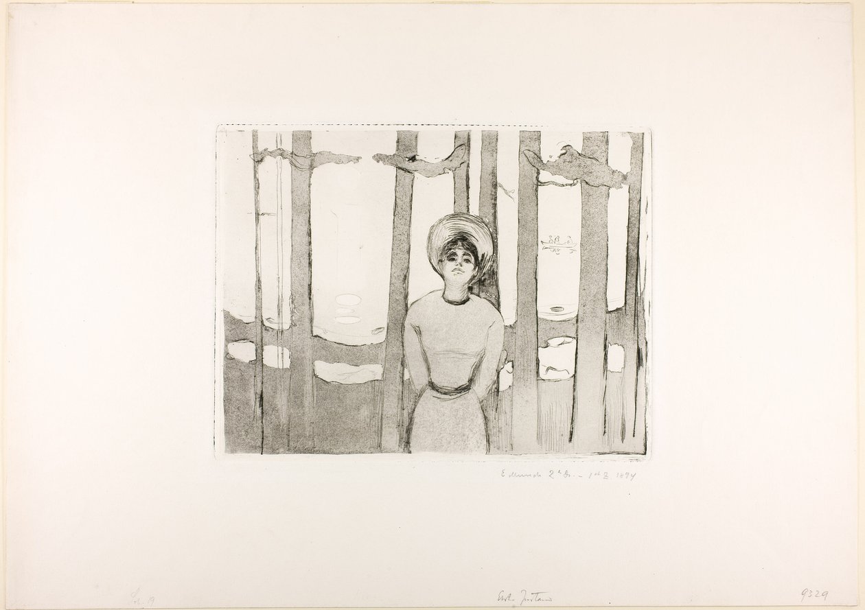 Noite de Verão. A voz de Edvard Munch