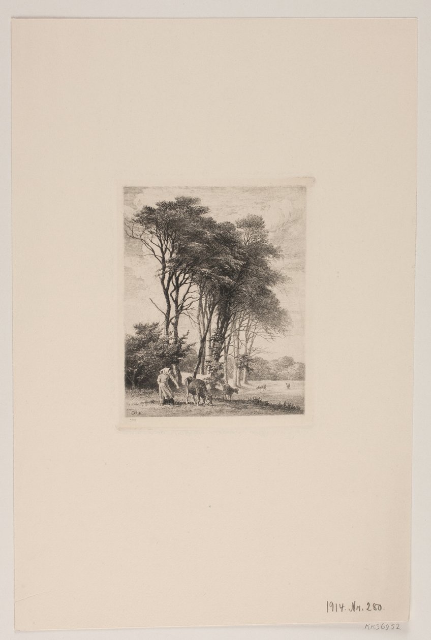 Paisagem. Vacas por uma floresta de Edvard Petersen