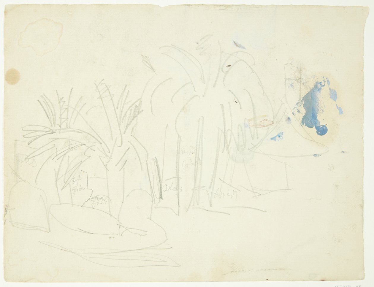 Paisagem com palmeiras, Cannes de Edvard Weie