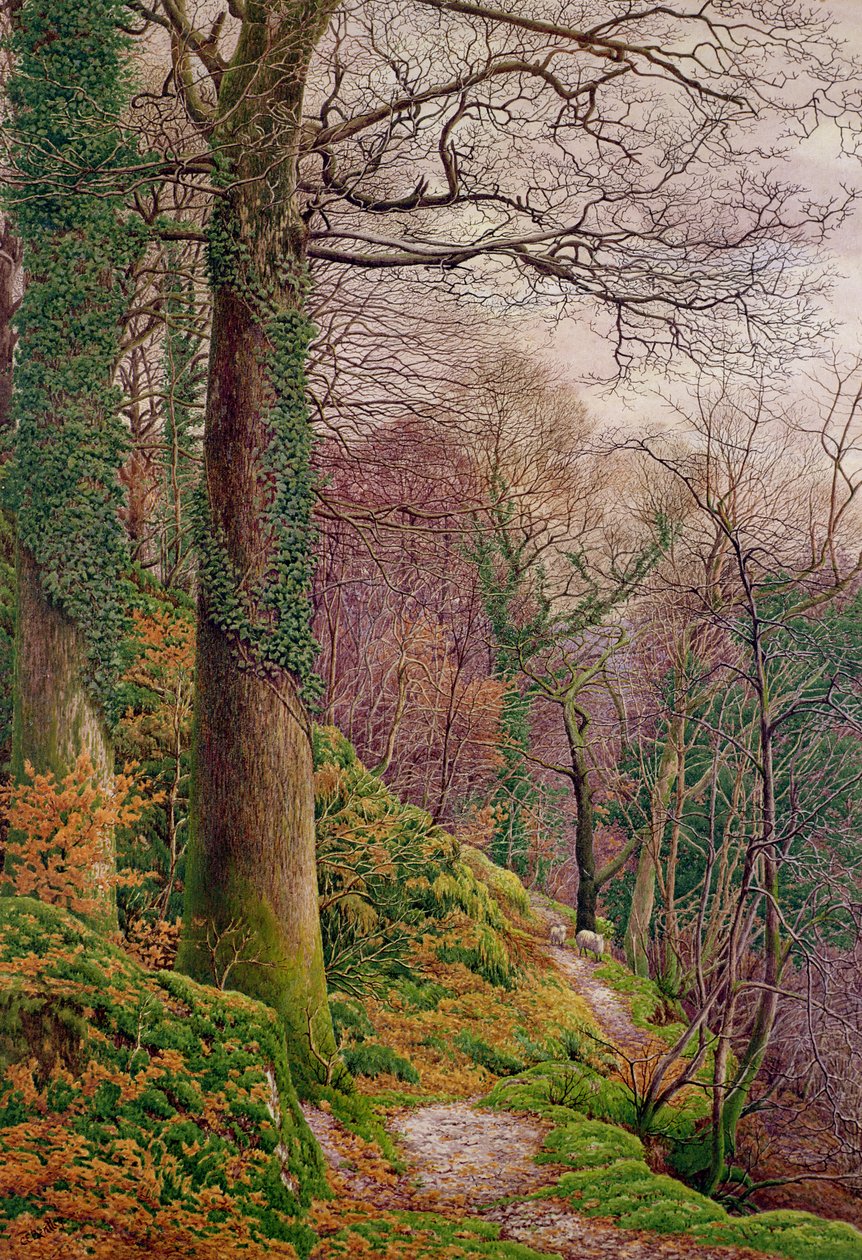 Um caminho na madeira de Edward Bentley