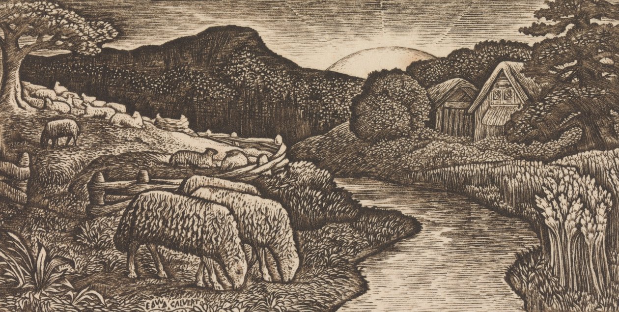 As ovelhas do seu pasto de Edward Calvert