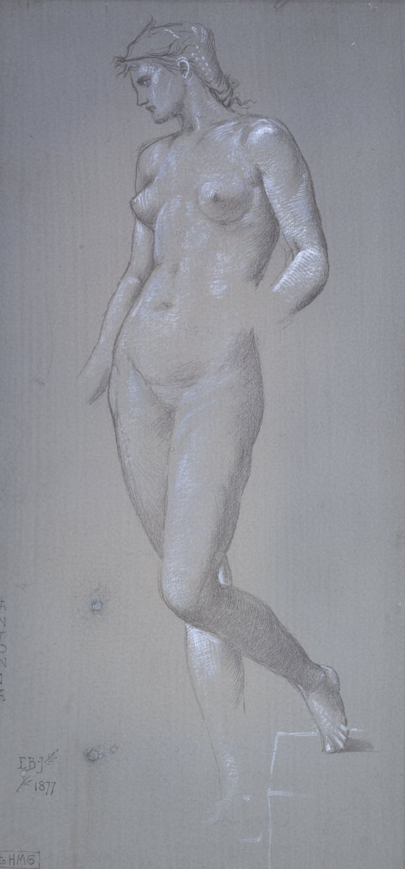 Antonia, 1877 (Silverpoint e bodycolour em solo preparado cinza) de Edward Burne Jones