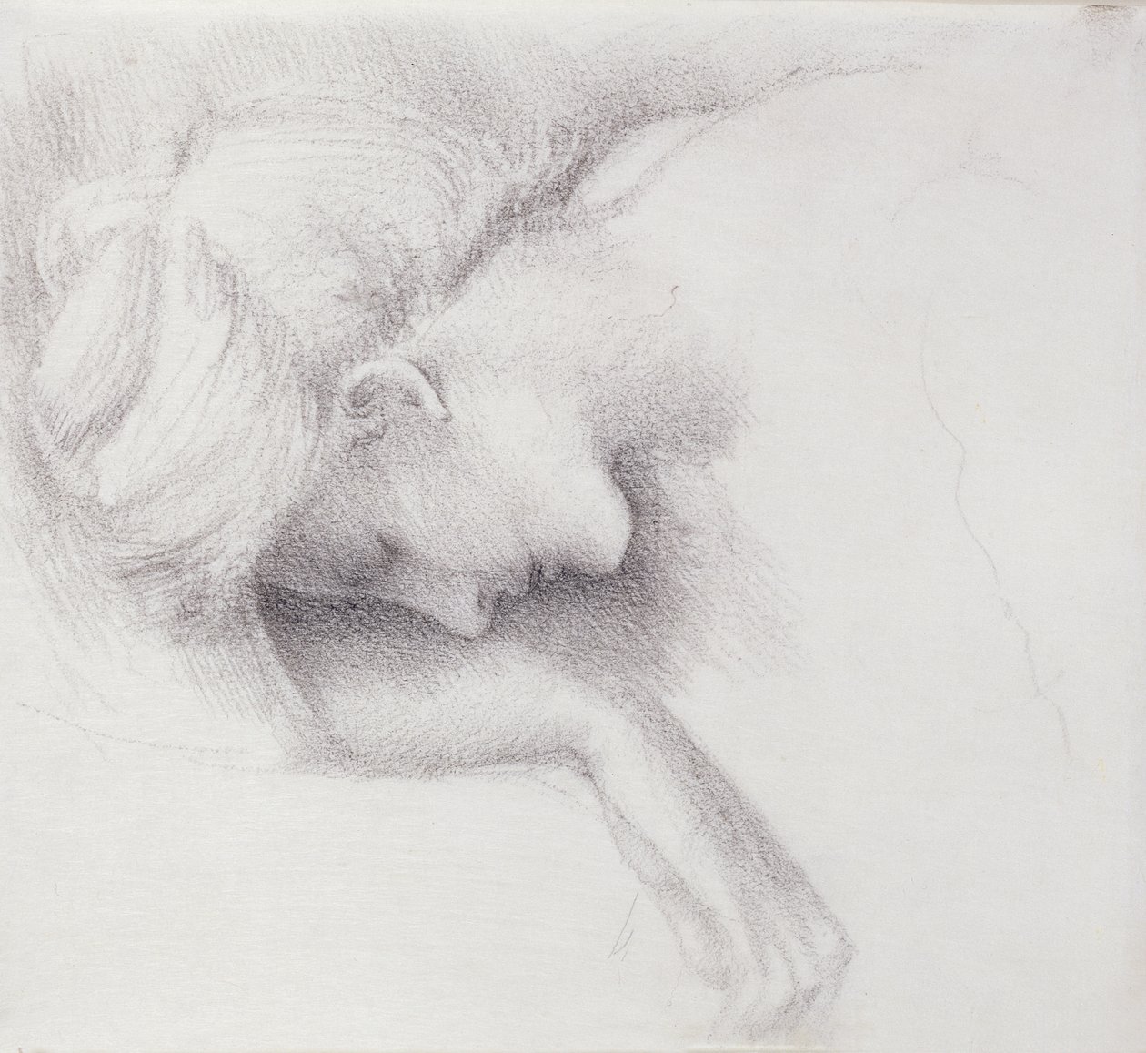 The Garden Court - estudo para a série Briar Rose, 1888 (giz preto sobre papel) de Edward Burne Jones