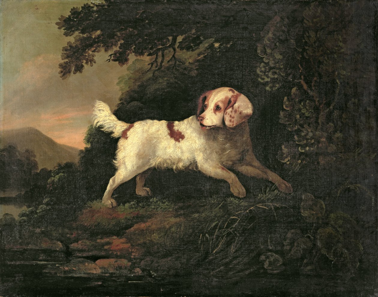 Estudo de Clumber Spaniel na paisagem do rio arborizado de Edward Cooper