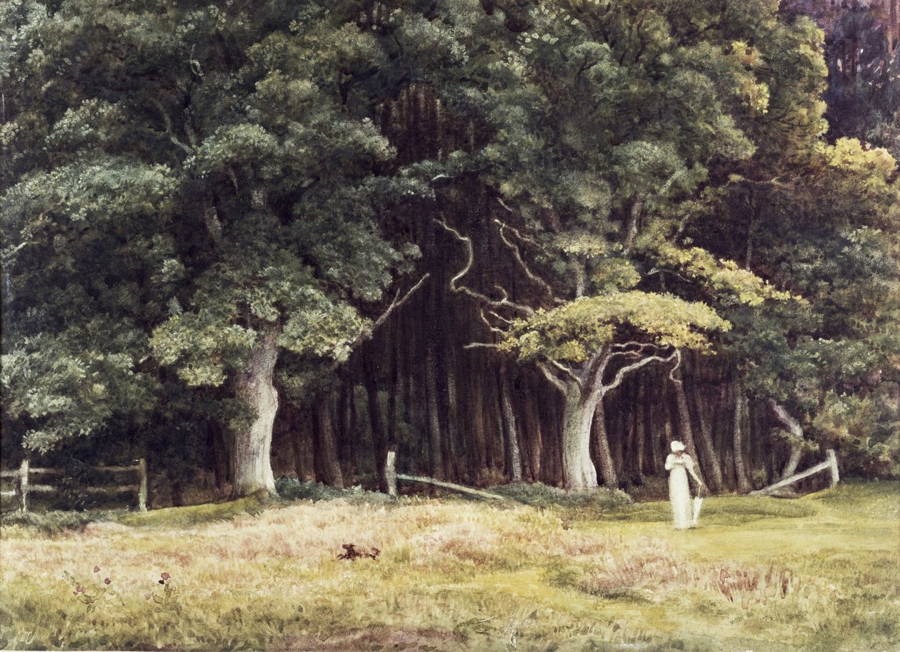 A paisagem arborizada, c.1900 de Edward John Poynter