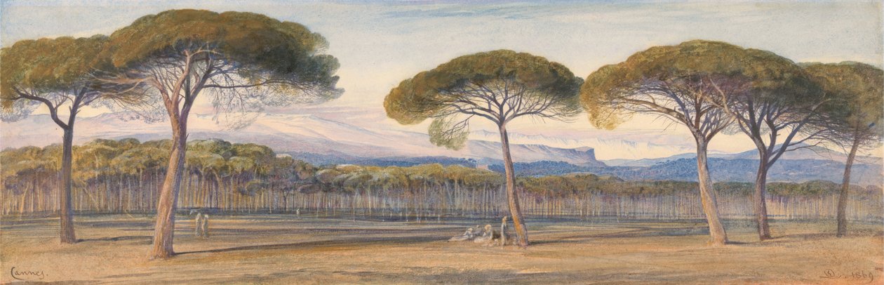 Uma vista do pinhal acima Cannes de Edward Lear