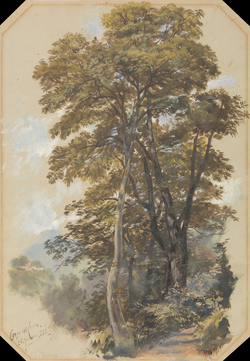 Corpo de Cava, 28 de junho de 1838 de Edward Lear