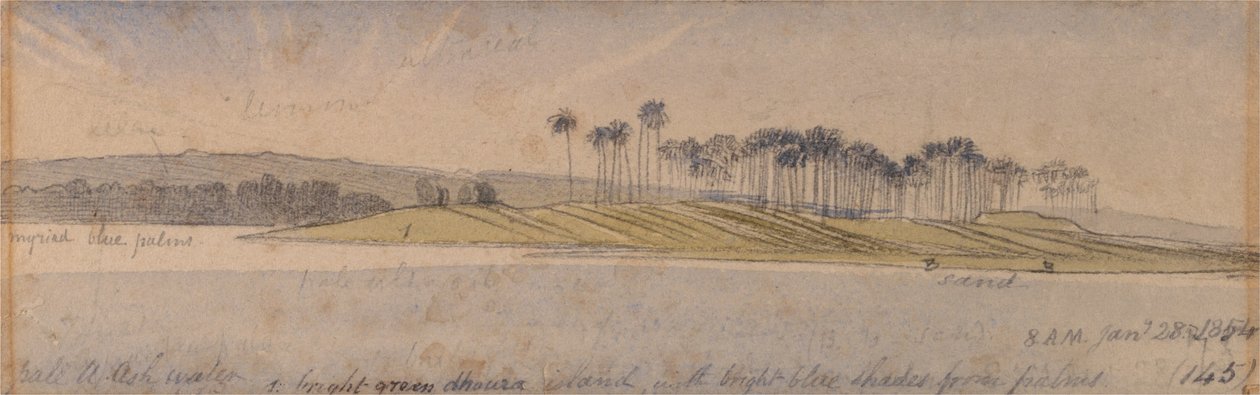 Dhoura Island de Edward Lear