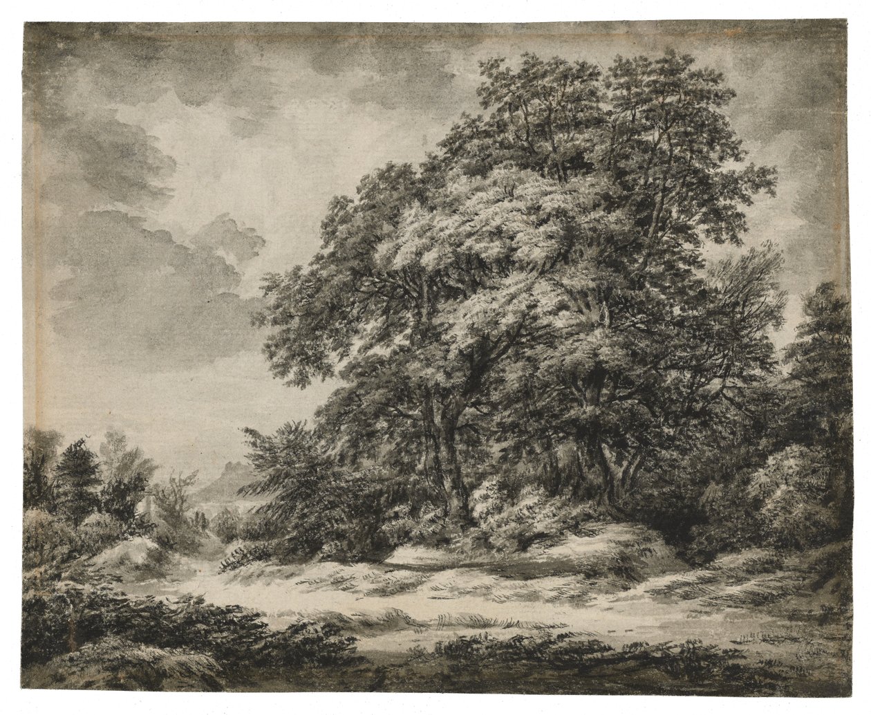 Paisagem da floresta (reto), c. 1838-1848 (tinta e lavagem em papel) de Edward Lear