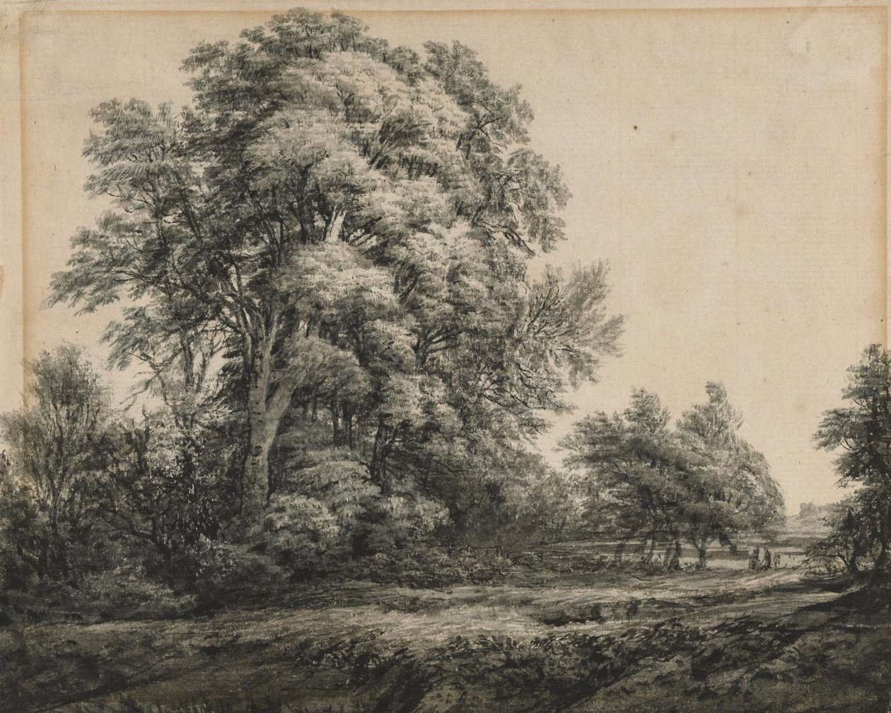Paisagem florestal de Edward Lear