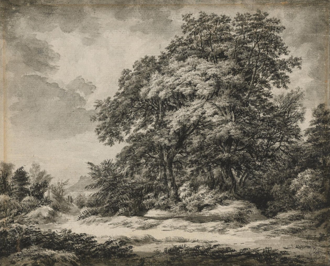 Paisagem florestal de Edward Lear
