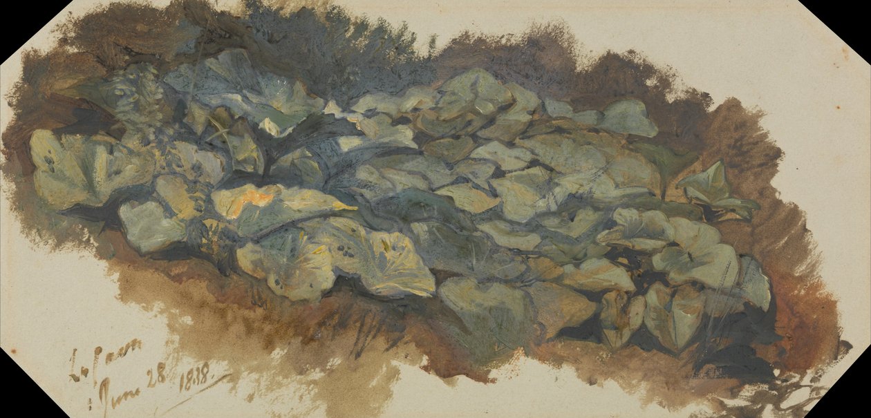 A cava de Edward Lear