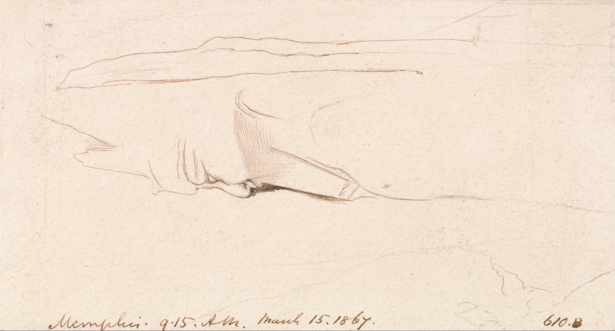 Memphis de Edward Lear