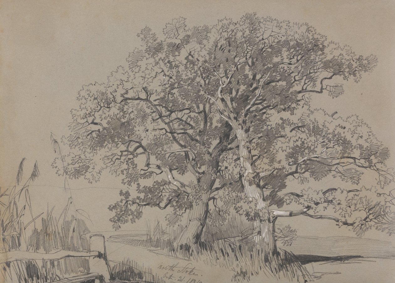 North Stoke. 21 de outubro de 1834. de Edward Lear