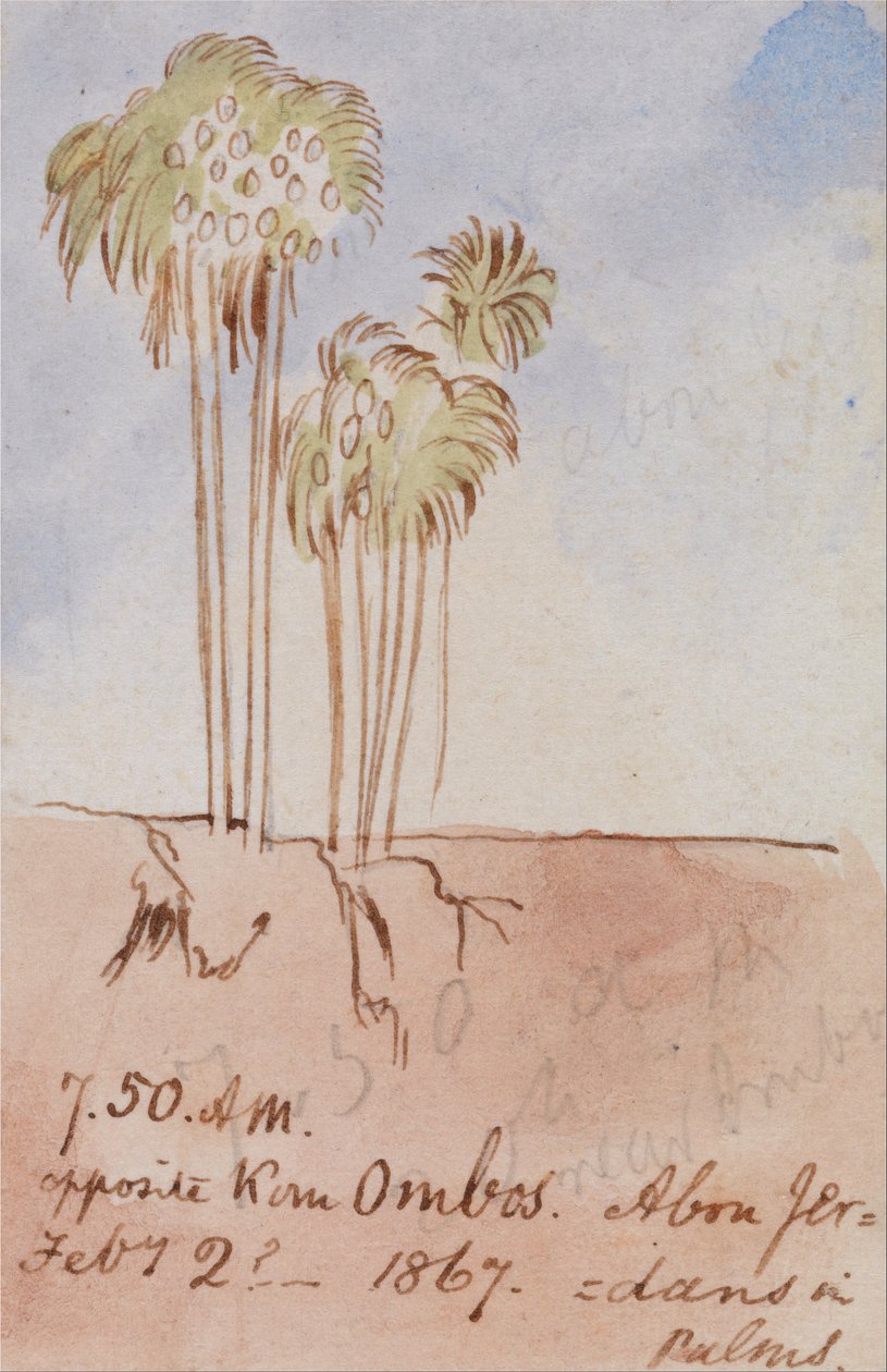 Em frente ao Kom Ombos Abu Jer de Edward Lear
