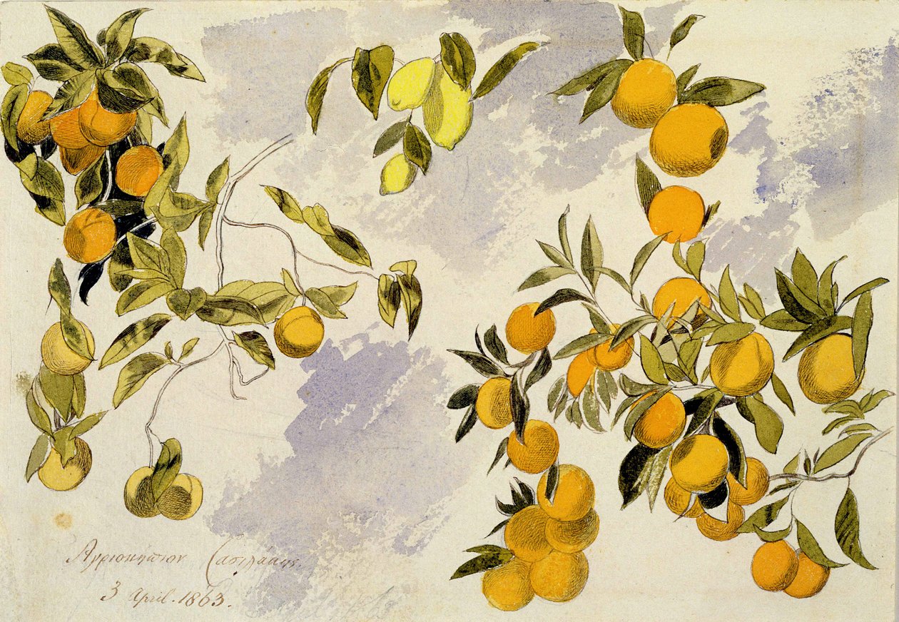 Laranjeiras, 1863 (wc, caneta e tinta sobre grafite em papel pesado) de Edward Lear