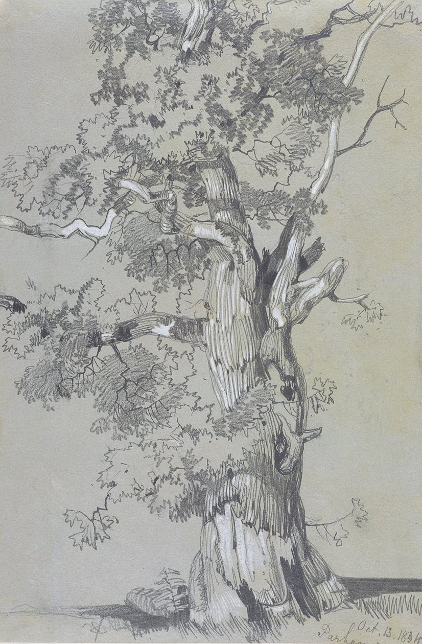 Parham, 13 de outubro de 1834 (grafite com guache branco em papel marrom) de Edward Lear