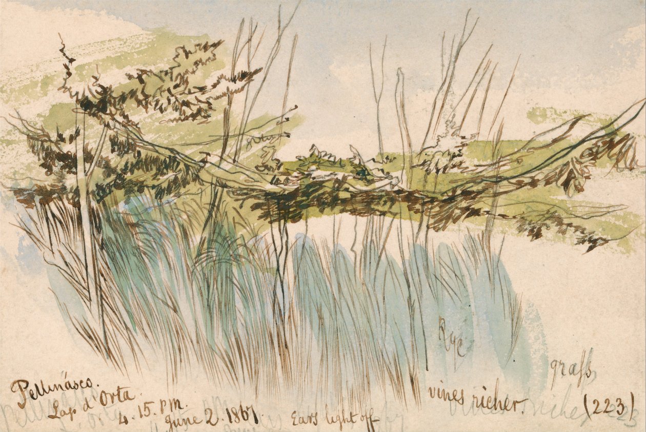 Pettenasco, lago dOrta de Edward Lear