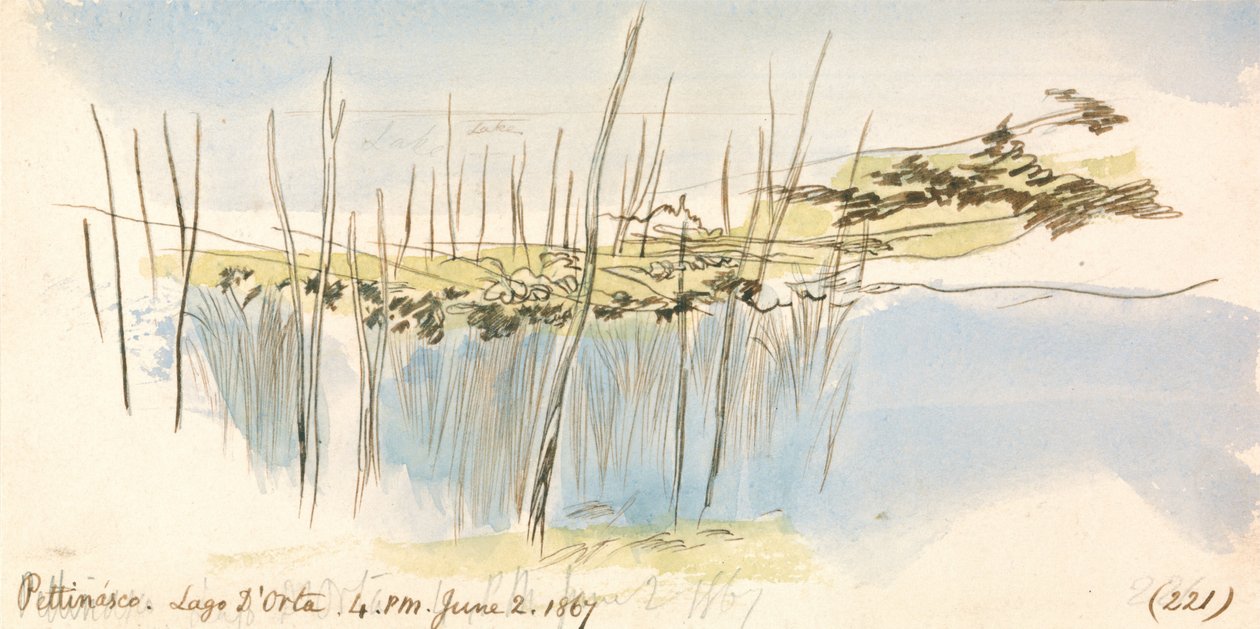 Pettenasco, Lago dOrta, 16:00, 2 de junho de 1867 (221) de Edward Lear