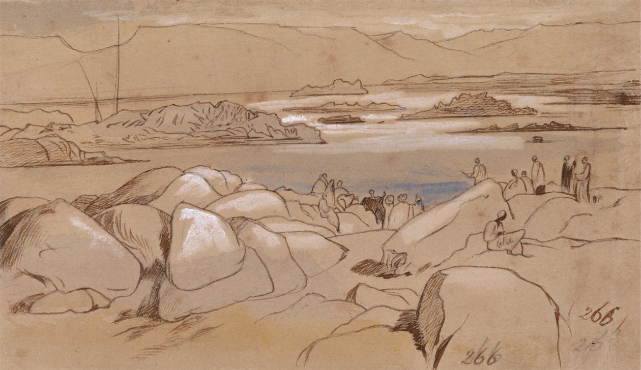 Shelly de Edward Lear