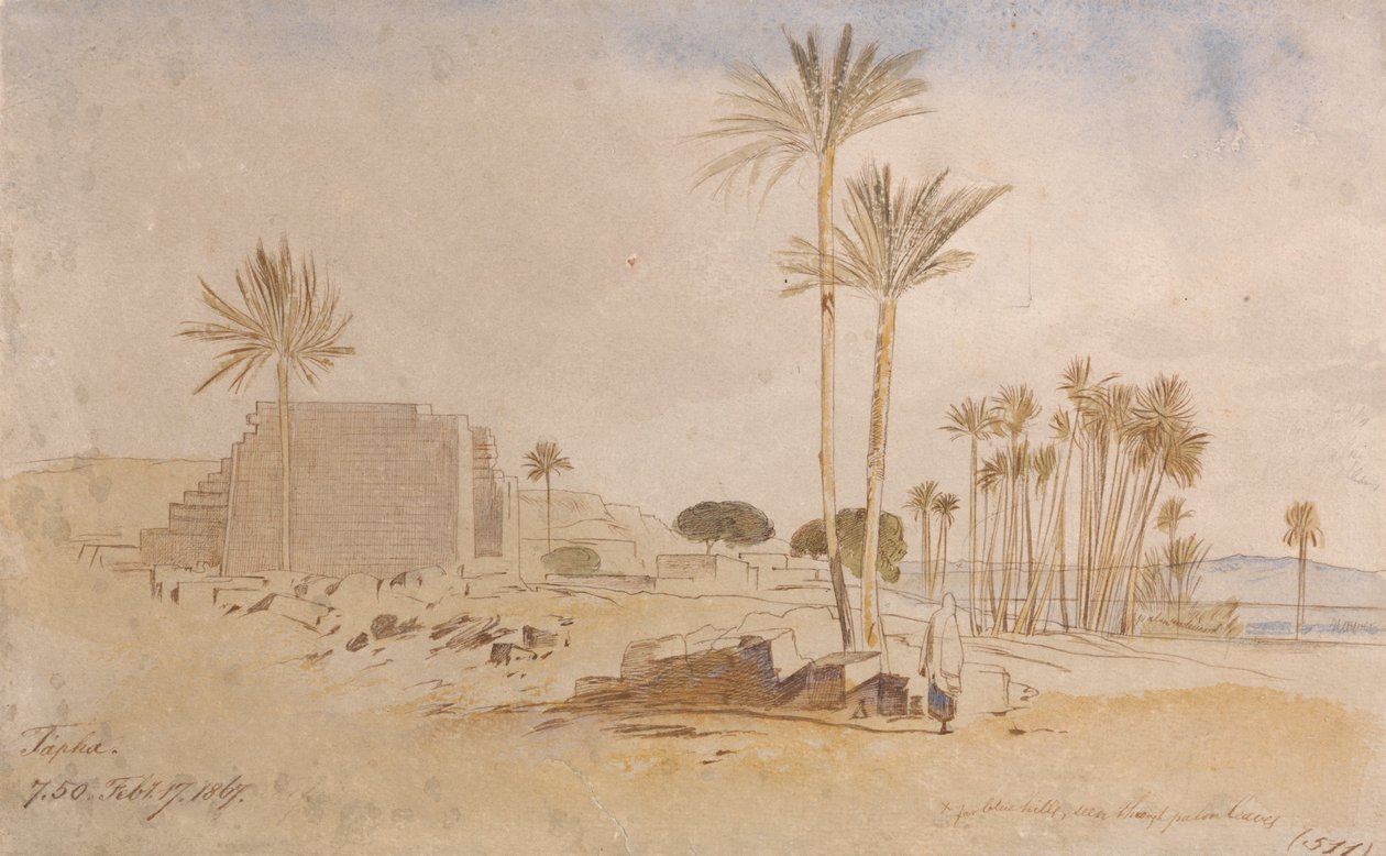 Tapha, 7-50 da manhã, 17 de fevereiro de 1867 de Edward Lear