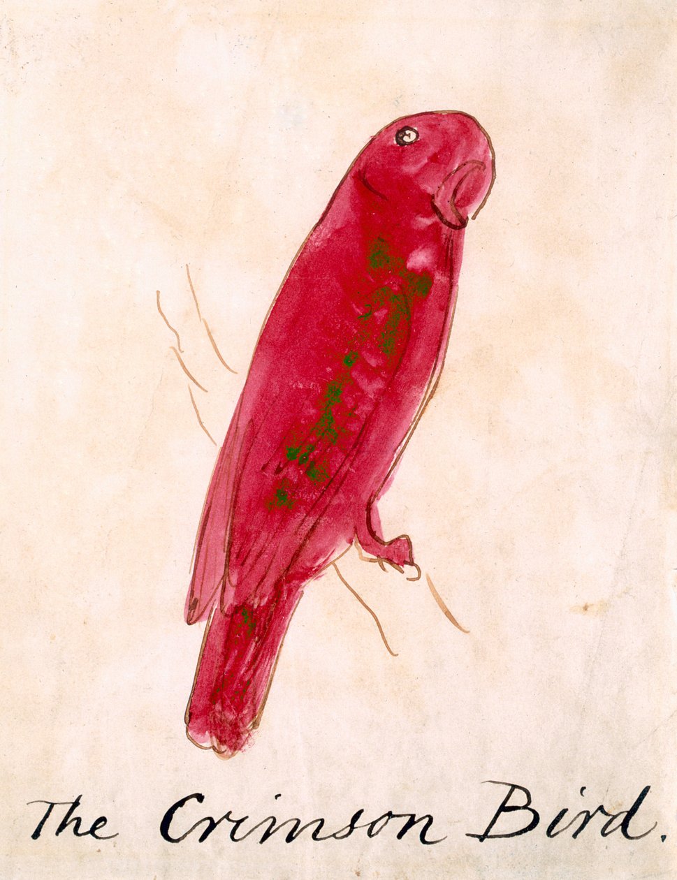O Pássaro Carmesim, de &39;Dezesseis Desenhos de Pássaros Comic&39; (caneta e tinta wc no papel) de Edward Lear