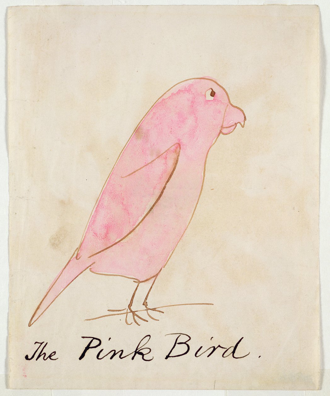 O pássaro rosa, de &39;dezesseis desenhos de pássaros em quadrinhos&39; (caneta e tinta no papel) de Edward Lear
