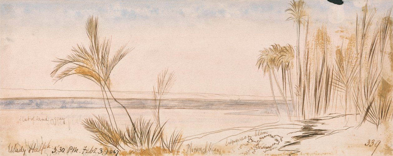 Defeitos Halfeh de Edward Lear