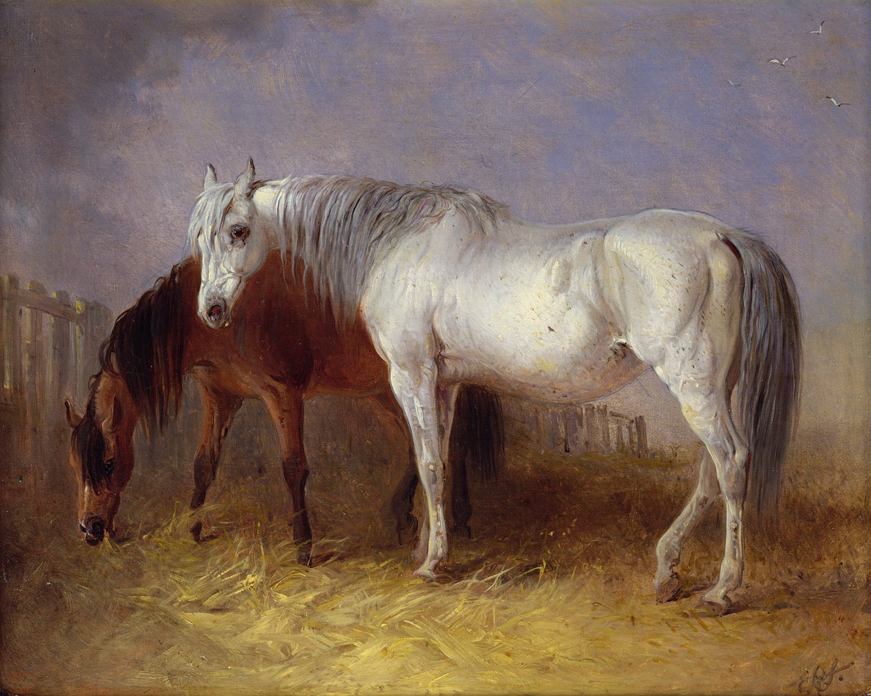 Cavalos cinza e castanha de Edward Robert Smythe
