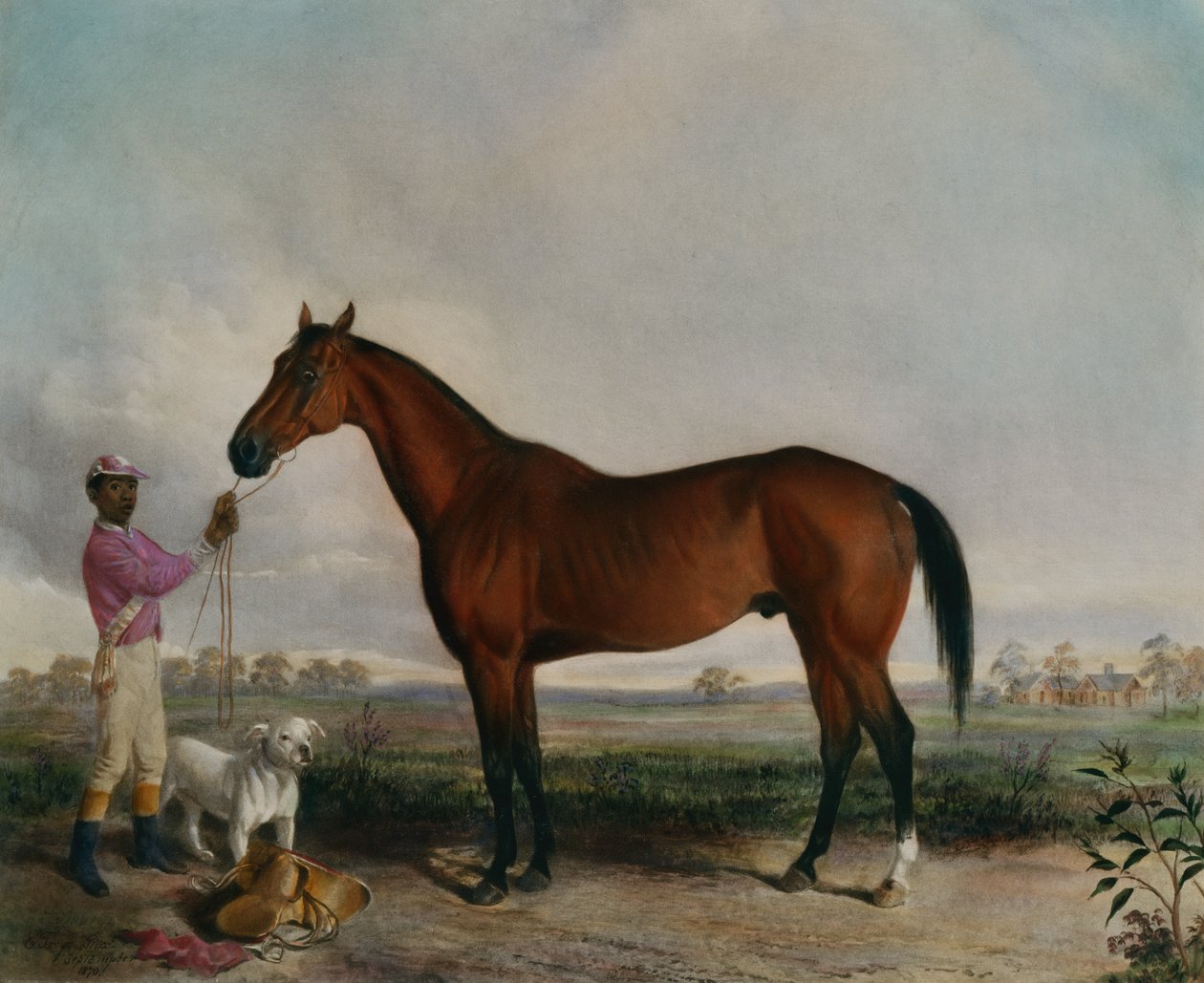Inquiridor, Bay Horse de Edward (after) Troye